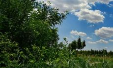 十分伤感的非主流句子说说，表达对友谊的珍惜和感慨