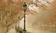 分享：在恋爱日记中记录的一周年纪念，充满深情的情话和纪念日回忆