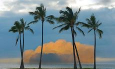 收集：用于增进情感的浪漫、温馨、温柔的甜蜜恋爱发圈句子