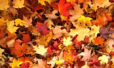 分享现实中让人心烦的话题，表达内心真实情感