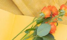 欢迎十月的到来，期盼所有美好的邂逅与我们如期而至