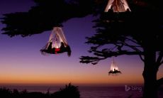 每日用语技巧：如何用简单的句子哄老婆开心？