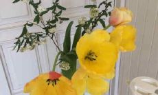 令人心跳加速的引人入胜的营销宣传文案