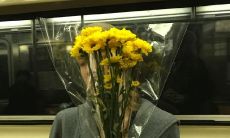 浪漫诗句：探寻爱情的美丽与温馨