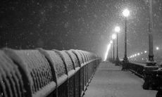 如何巧妙地在五一劳动节期间利用朋友圈来展示你的劳动成果和表达感恩之情？