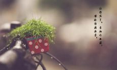 适合在下雨天发朋友圈的说说句子，给生活增添一份浪漫的情调