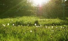 超级无敌美丽动人的清晨阳光所引发出来的唯美至极让人叹为观止的句子！