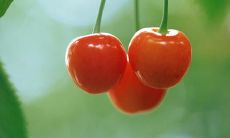 如何让你的妻子摆脱不开心的情绪，重新恢复快乐与满足感？