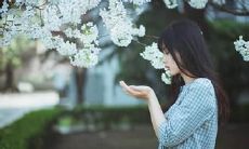 一点的标题：发自内心的真情告白——我爱你，不管结果如何，都不会后悔！