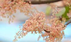 深陷无法自拔的爱情：令人无奈的句子