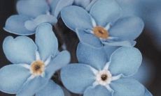 「小朋友欣喜若狂的脸上洋溢着无尽的幸福感，让人感受到他们的喜悦与满足」