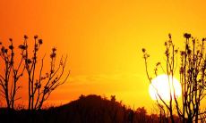 每日自我祝福：愿自己每天如沐春风，心怀喜悦的开心句子