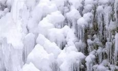 朋友圈分享冬日芬芳：满眼雪色，白茫茫的世界让人心旷神怡