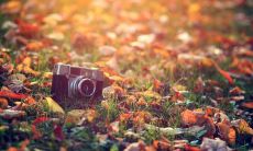 一份精选优美句子的完整清单：风景如画的字句，惊艳心灵的独特辞藻及色彩绚丽的文学篇章