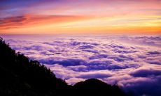 享受喜悦的时刻：生动表达个人今日喜悦之情的作文句子