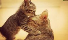 在日常生活中向他人表达感激之情的最佳语句，让你的心意真正传达到TA的心中