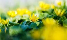 家庭关系中最伤人心、最让人无助的话语