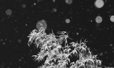 幸福未来的启示：迈向更好的明天——适用于失恋者的自我安慰句子