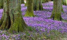 愿姐妹聚会洋溢着快乐和温馨，充满无尽的欢声笑语