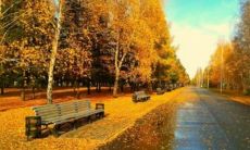 一堆美妙的秋季抒情句子，轻轻吟唱着美丽的季节之歌