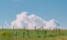 那些不愿意敞开心扉的人所表达的含义，以及如何接近并与他们建立联系