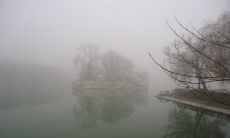 探寻雾气之美的诗意句子