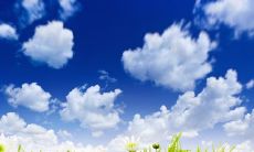 一组温馨的英文句子，让你更快乐和幸福