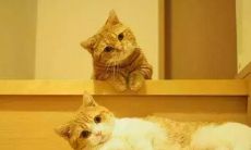 2021最新、富有温暖的早安或祝福语，能够感动你的心灵，为新一天注入力量和勇气！