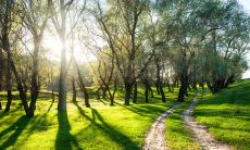 天气炎热，发出问候短信，表达心意