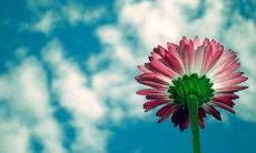 一场无比愉悦的日子——描述充满欢乐的一天的优美语句