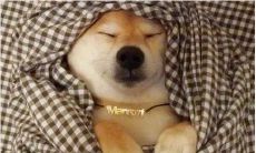 今天气温骤降，挑起朋友圈热议的留言：分享你的感受和经历！