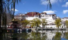 让您的一日游更充满快乐的句子推荐