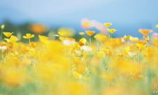 50句激励竞争的励志名言，鼓舞人心，激发斗志！