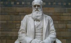 阐释进化论思想的达尔文经典名言汇编