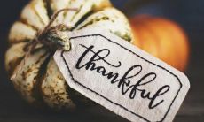 表达对感恩之情的句子，寄托着满满的真挚与感动