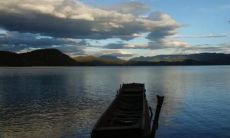 经历了无数次的背叛与辜负，我毫不掩饰地宣告：从此我不再寄望于你，你已经彻底让我失望透彻