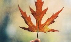 分享几句能够让人丢掉烦恼、开心起来的话语