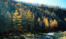 天气酷热，问候短信不可少！