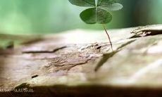 坚定不移，勇往直前！一系列充满正能量的坚定执着句子