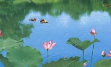 用句子表达内心平静与宁静的境界