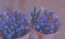 岁末年初，每一天都是一份关怀——温柔可爱的文案