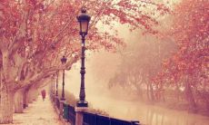 寻找秋天落叶的优美句子，感受大自然的变幻之美