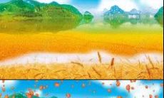 美丽唯美的秋收，让我们流连忘返的短句和句子