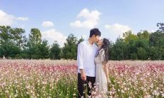 情侣间的温暖浪漫短语：令人感动的言语与情感表达