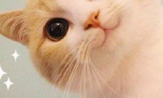 男人想要的，是看到我快乐幸福的美好状态