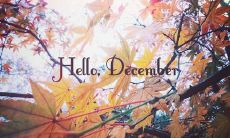 探寻2021年十二月份最美朋友圈文案，打造心灵共鸣的社交媒体魅力！