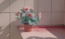 探究温柔女孩的内心世界：展现个性的独特标志 - 个性签名