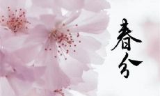 汇集了各式各样的优美句子：让人陶醉的春分节气诗词，激动人心的春分节气名人名言，温馨感人的春分节气祝福语……令人目不暇接的春分节气优美句子合集！