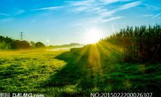 利用夏季气息给亲爱的客户发短信，以表达问候之意！