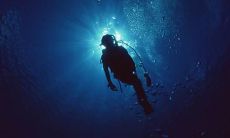 沉醉于海底世界的奇妙之旅——唯美句子描绘浮潜带来的欢愉和美妙感受